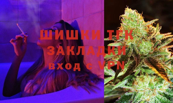 винт Горняк