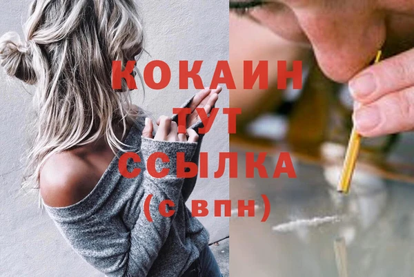 винт Горняк