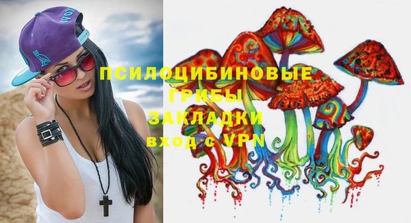 первитин Горнозаводск