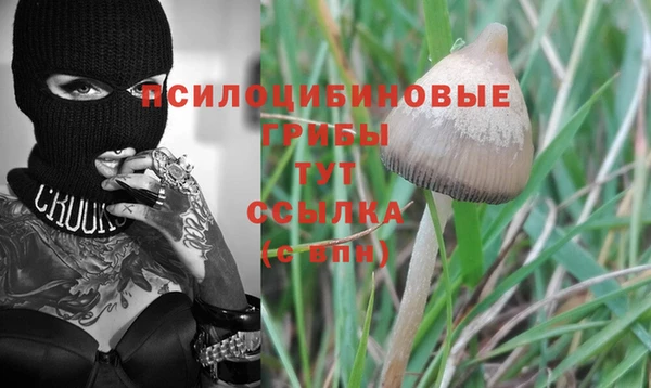 бошки Вяземский