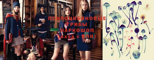 гашик Волосово