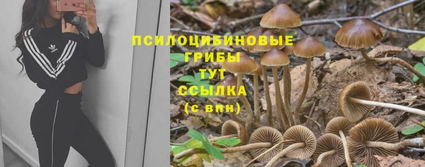 винт Горняк