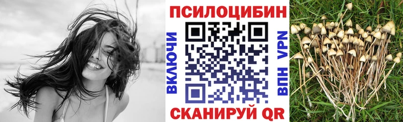 Псилоцибиновые грибы Psilocybine cubensis  Заполярный 